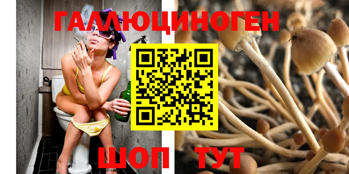 Нижний Тагил  Псилоцибиновые грибы Psilocybine cubensis  Псилоцибиновые грибы мухоморы  Вход с VPN 